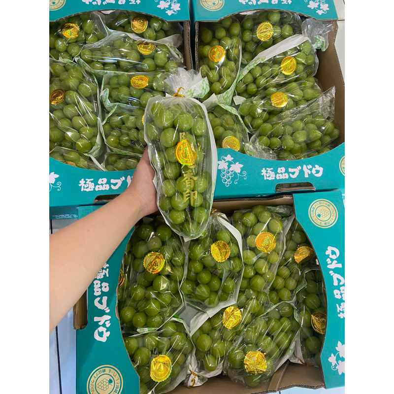 

anggur shine muscat manis tanpa biji per pack 500 g ready