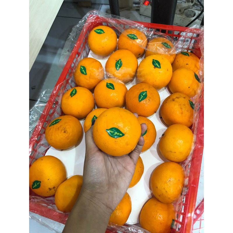 

jeruk murcot manis wokam 1 kg