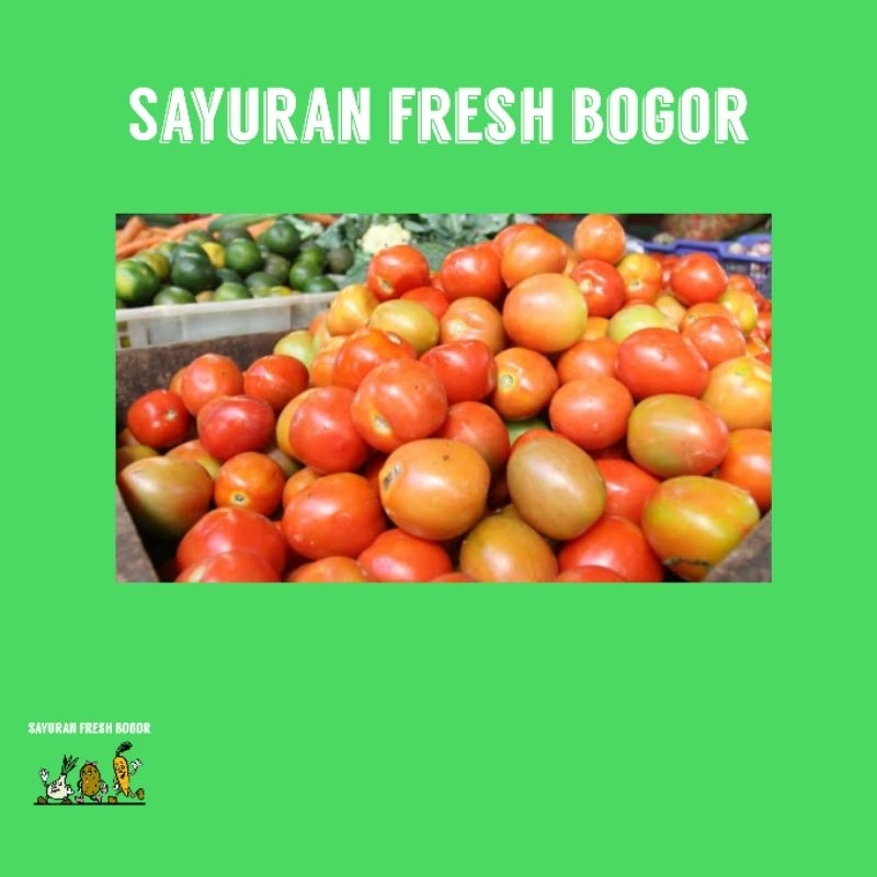 

Tomat Merah Sayur Segar ( 500 Gram ) | Sayuran Fresh Bogor