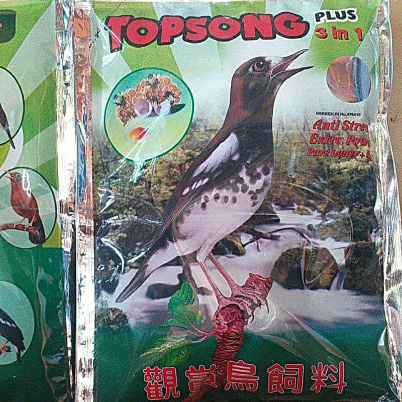 Topsong Coklat/ Topsong kuning