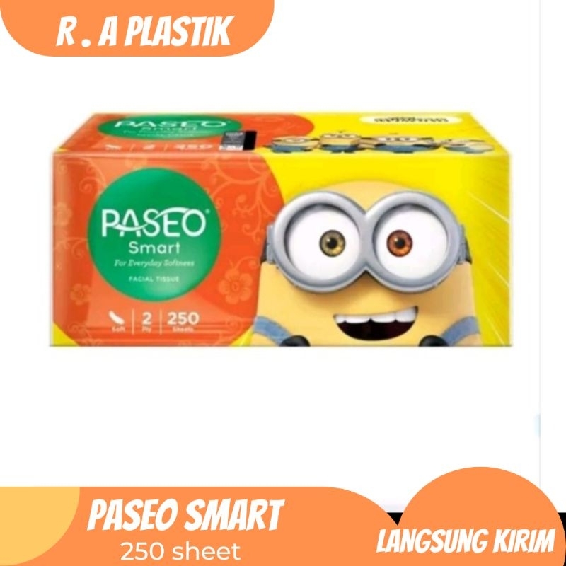 TISSU PASEO SMART 250 SHEET
