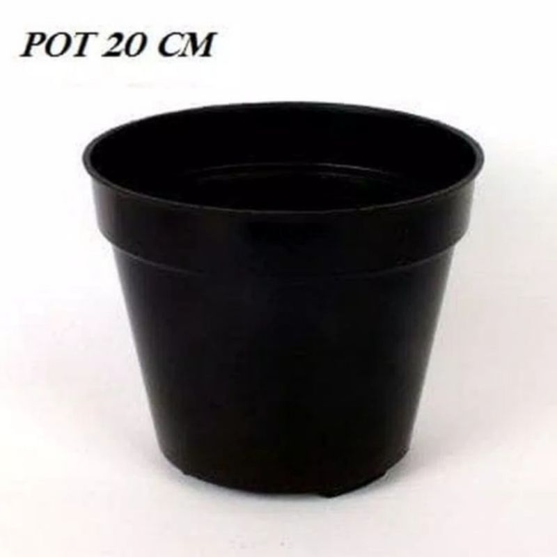 Pot Hitam Ukuran 20 cm
