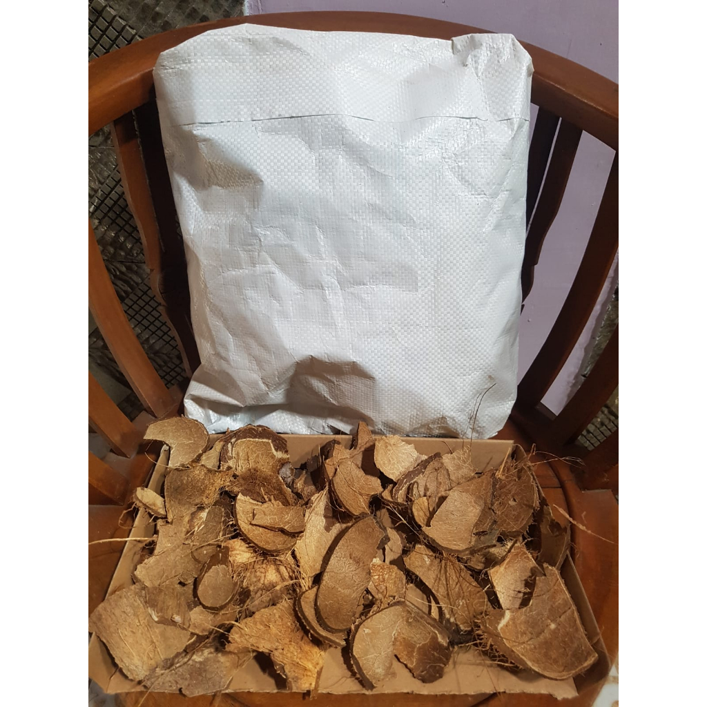 

BATOK KELAPA 5KG