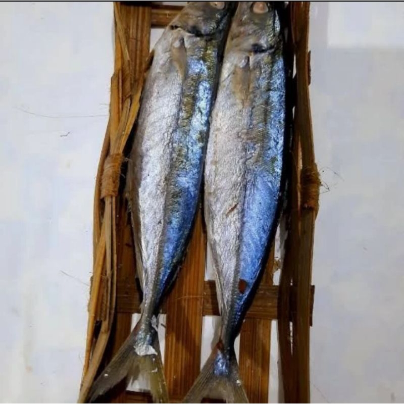 

IKAN CUE KERANGJANG FRESH Berkualitas / ANEKA IKAN SEGAR / IKAN CUE ASAP / ANEKA OLAHAN IKAN / ANEKA OLAHAN MAKANAN IKAN