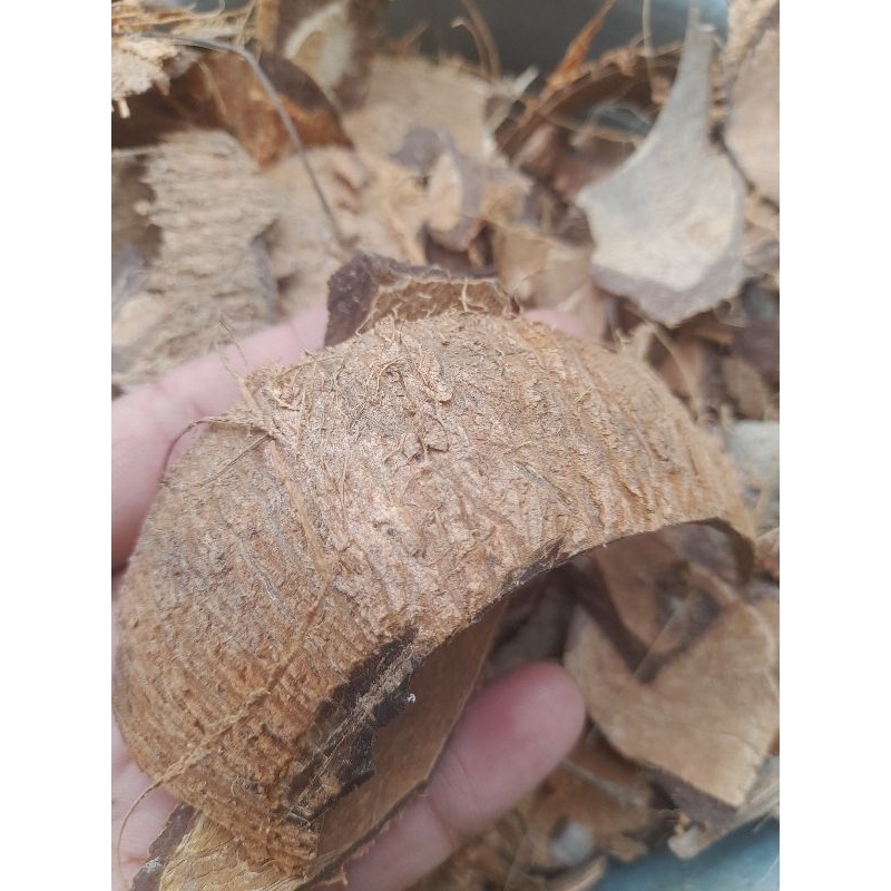 

Batok kelapa kering/arang briket