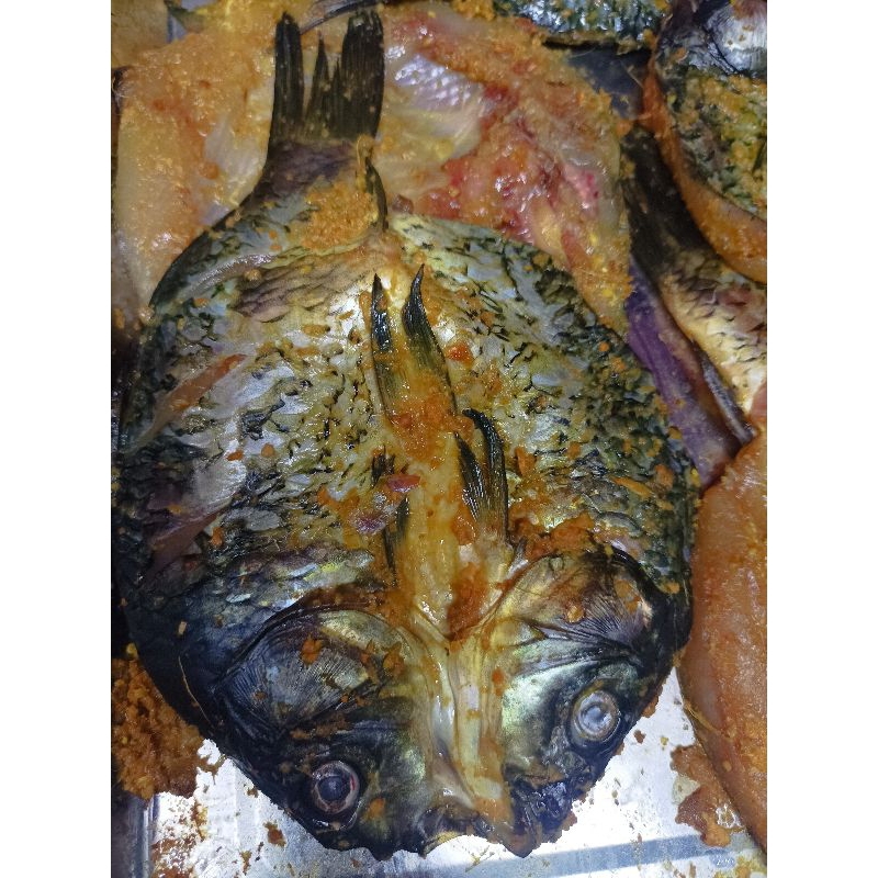 

Ikan Mas Bumbu Kuning Bandung Fresh