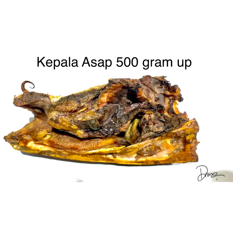 

Kepala Manyung Asap Asli Juwana