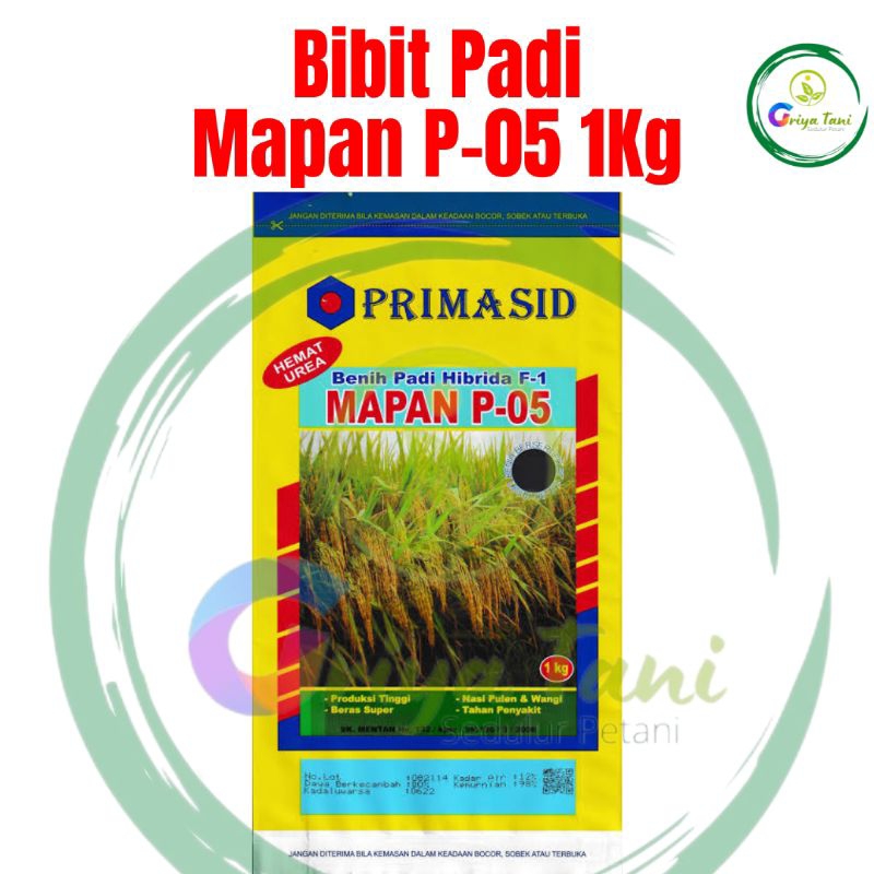 Primasid - Exp 27-07-2026 Benih Padi Hibrida Mapan P-05 (1Kg) Daya Kecambah >80% Asli Original Kemas