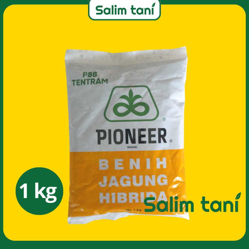 Benih Jagung Hibrida Pioneer P88 Tentram kemasan 1kg