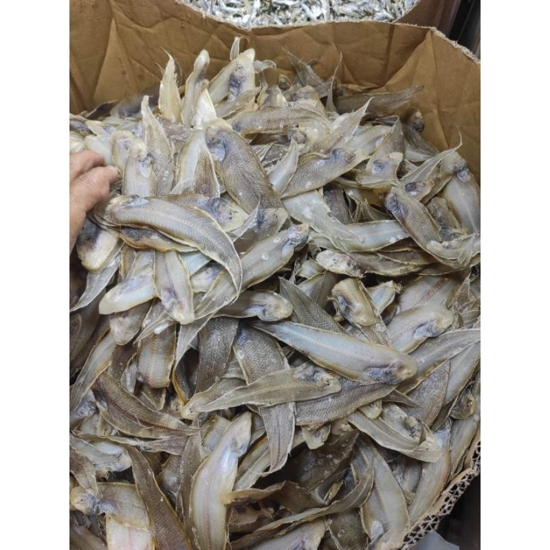 

Ikan Asin Lidah Kering Khas Medan