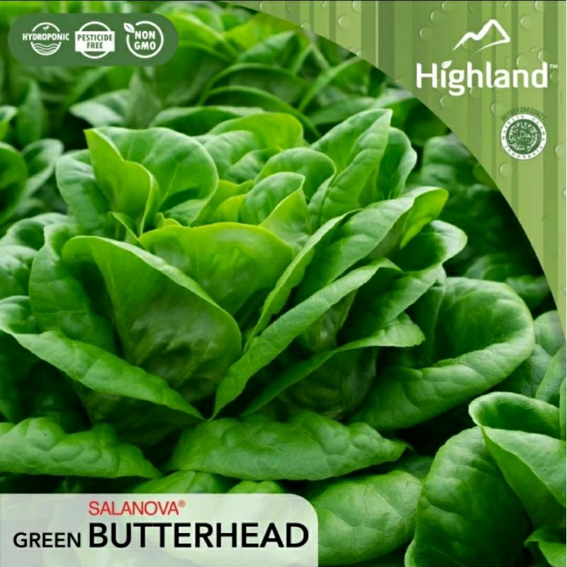 

Selada Hijau - Salanova Butterhead Green Highland 500gr