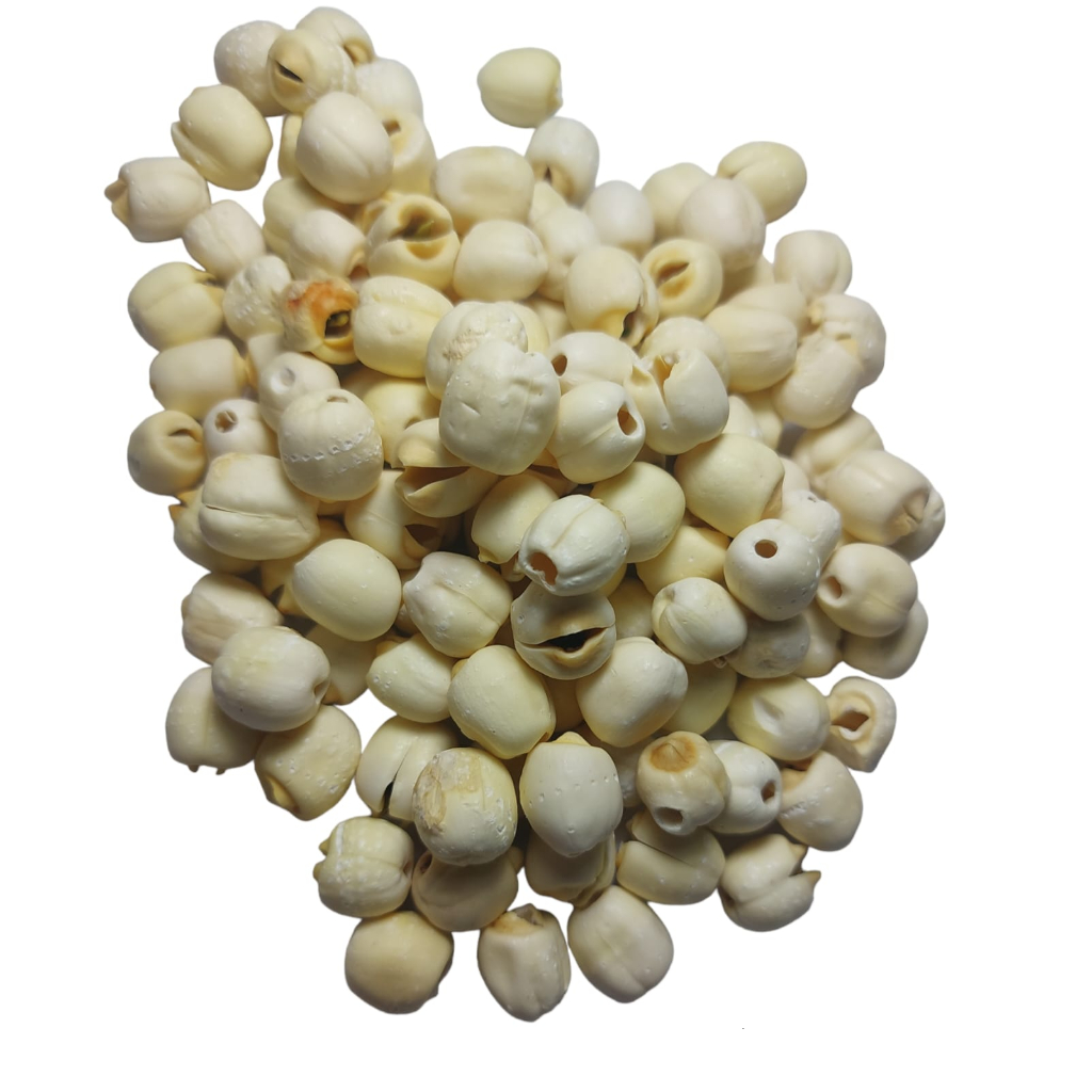 

Bai Lian Zi Lian Zi - Biji Teratai - Lotus Seed Semen Nelumbinis Nucifera