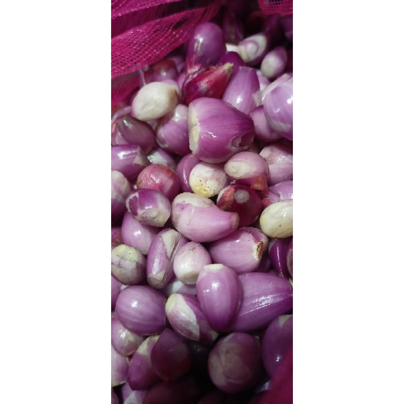 

Bawang Merah Berebes Super 1kg