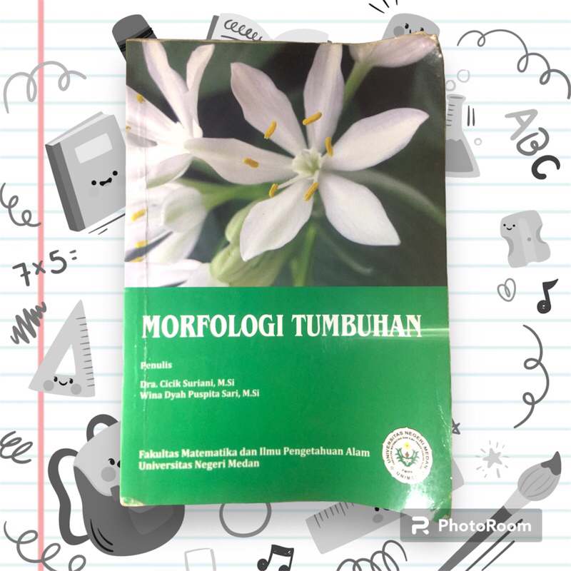 

MORFOLOGI TUMBUHAN