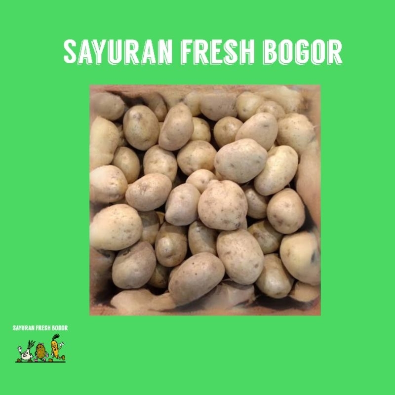 

Kentang Curah ( 500 Gram ) | Sayuran Fresh Bogor