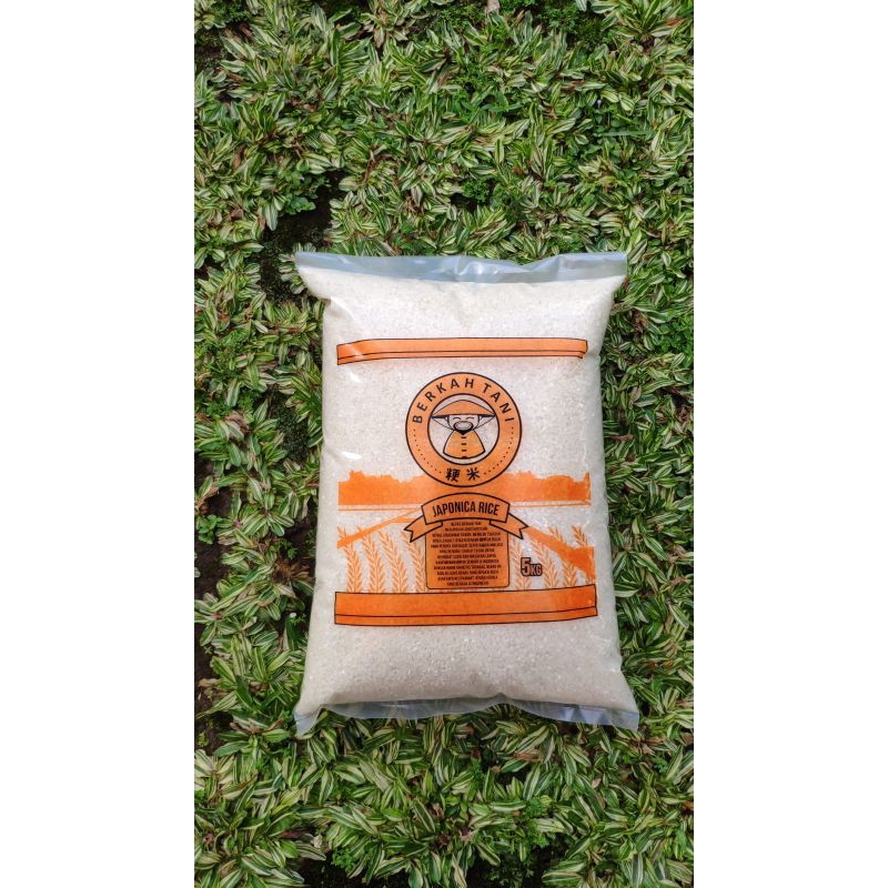 

BERASJEPANG/JAPONICARICE/SUSHIRICE/1KG