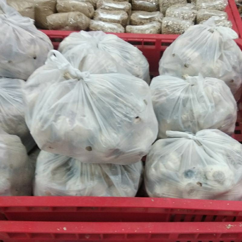 

Bawang Putih Kiloan