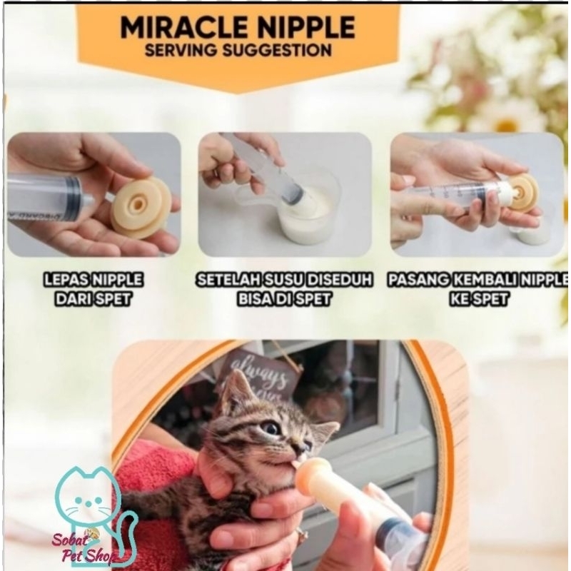 dot bayi kucing baru lahir