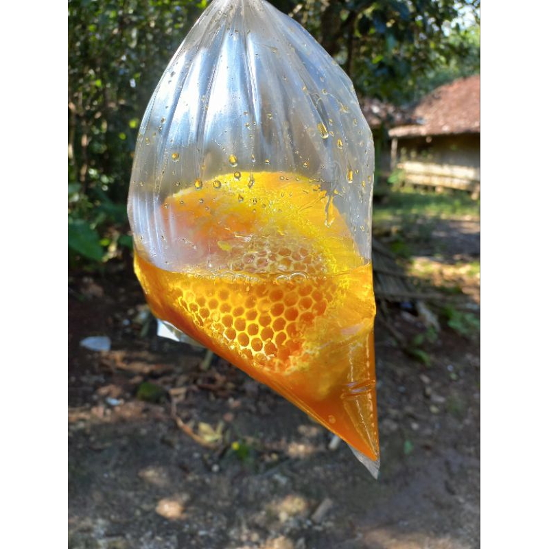 

madu sarang apisorsata/madu odeng asli murni tanpa campuran isi 1kg