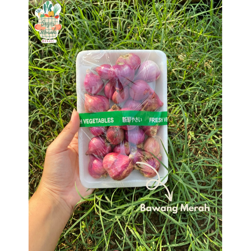 

KIRIM INSTAN BAWANG MERAH | BAWANG MERAH