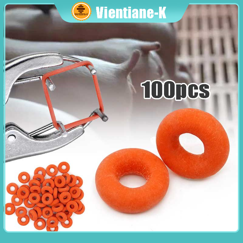 Karet Kebiri Cincin Ring Kastrasi Castration Tang Kastrasi Untuk Alat Kebiri Hewan Ternak