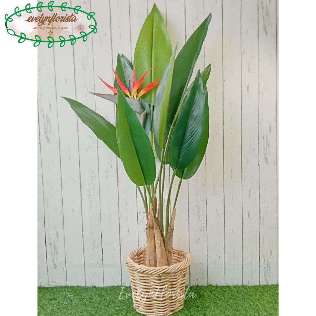 Tanaman Artificial Imitasi  Heliconia Bird Of Paradise T120 Cover Rotan Bulat Dekorasi Ruang Tamu