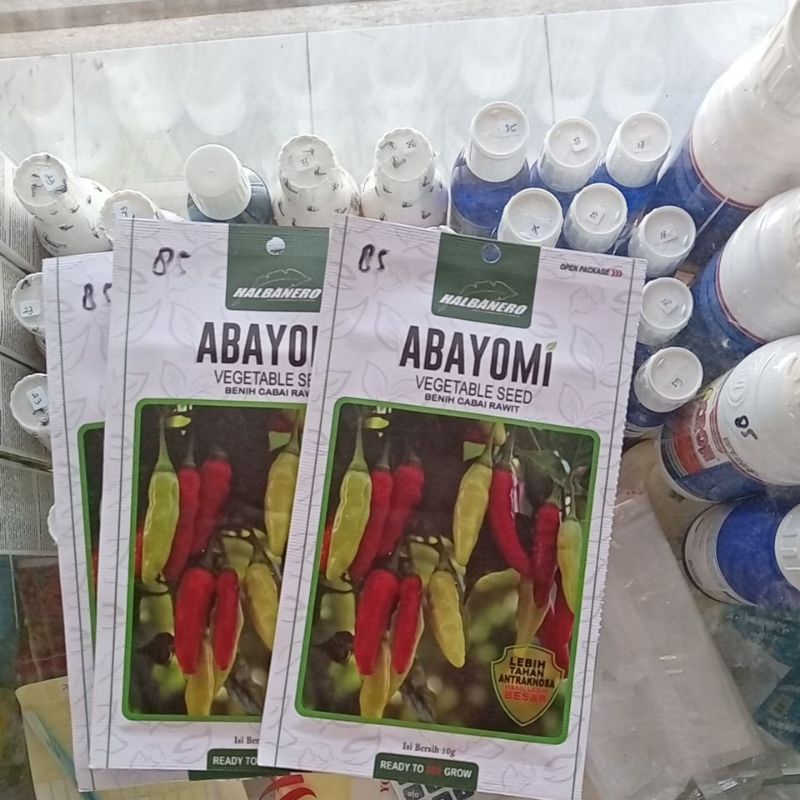 

abayomi bibit lombok