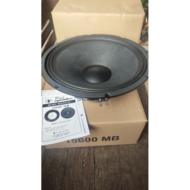 Speaker Blackspider 15600