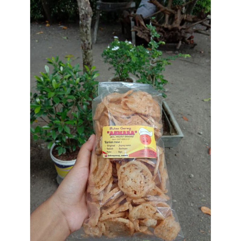 

Bakso goreng / Basreng