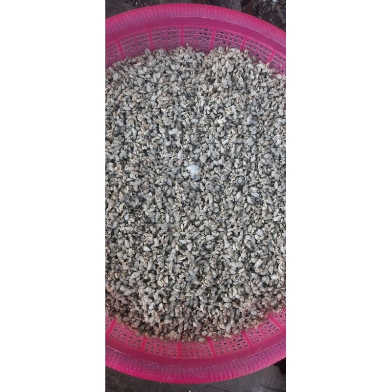 

KUPANG PUTIH 250 GRAM