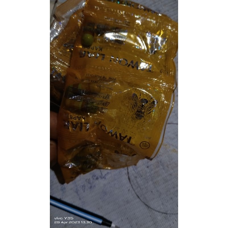 

Tawon Kuning original