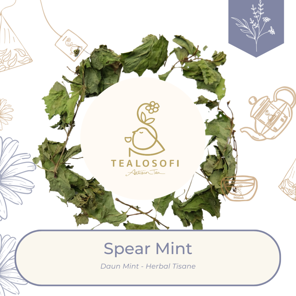 

Spearmint - Herbal Leaf Tisane Daun Menthol Teh Kering Tealosofi Tea