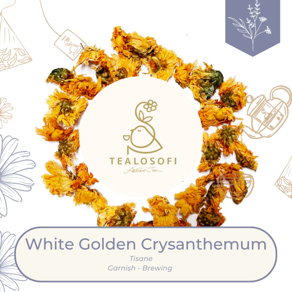 

White Chrsanthemum - Herbal Flower Tisane - Organic - Chrysant