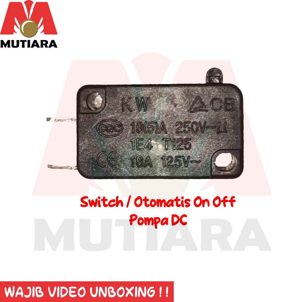 Switch Otomatis On Off Dinamo Pompa DC Single Double Pump