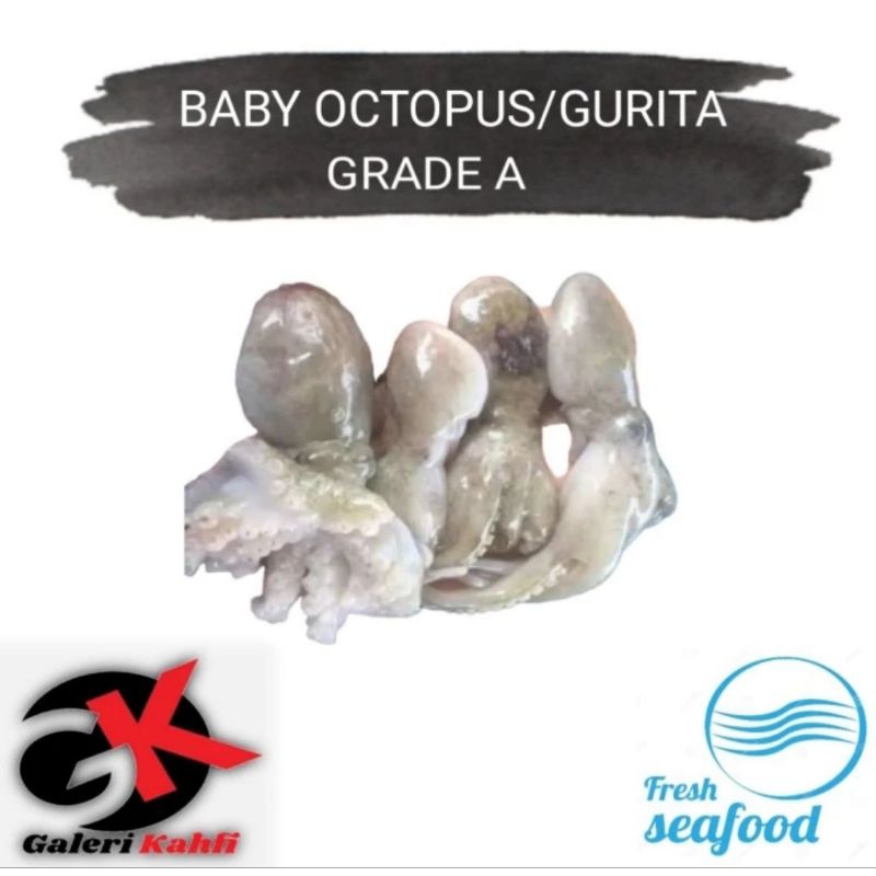 

BABY OCTOPUS / BABY GURITA FRESH Berkualitas GRADE A - 1KG / ANEKA SEAFOOD SEGAR