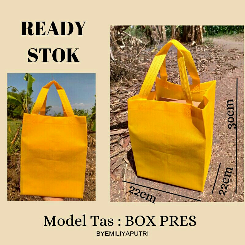 

Tas spunbond tas box pres goodiebag ukuran 22x22x30 lusinan 12pcs