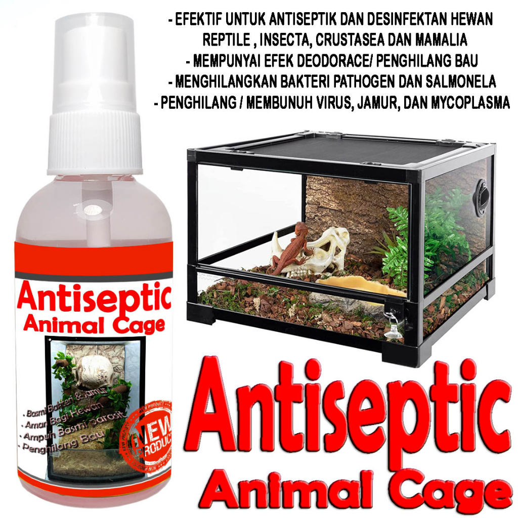 ANTISEPTIK ANTISEPTIC DESINFEKTAN ANTI JAMUR HEWAN KANDANG REPTILE KURA TORTOISE SULCATA SULKATA PAR