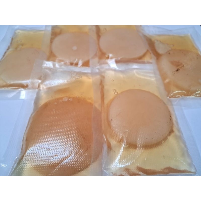 G. Jamur Kombucha / Scoby Combucha Dan Air Starter Scaby Jamur Fermentasi Sehat Scoby Kombucha /// S