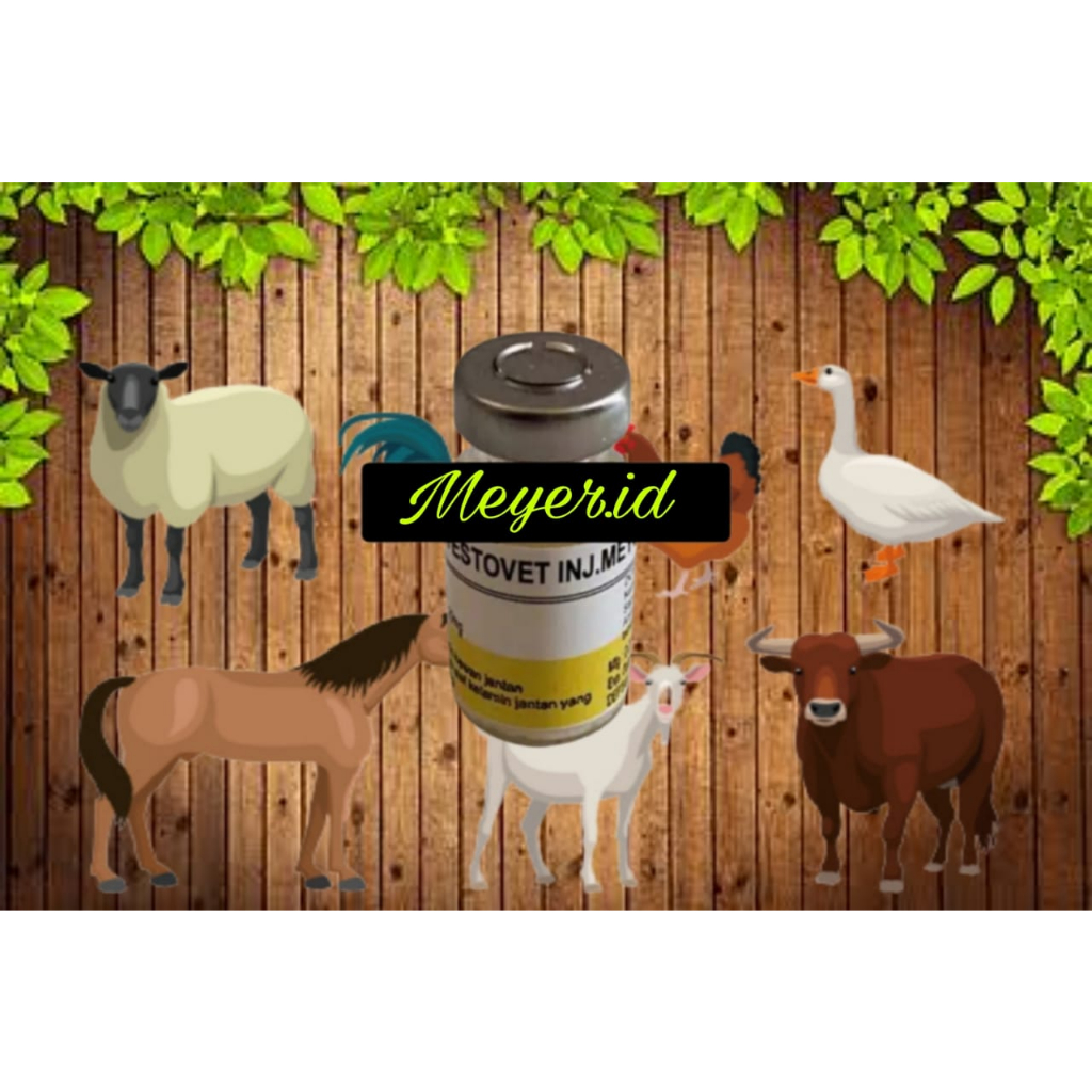 TESTOVET inj MEYER (10ml) - penambah birahi /pemicu libido hewan jantan