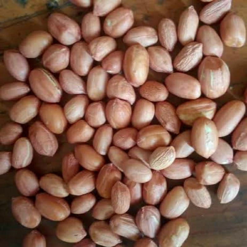 

Kacang Tanah 500 gram (PROMO)