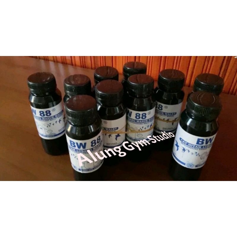 BW 88 Cat hitam lubang masuk rumah walet