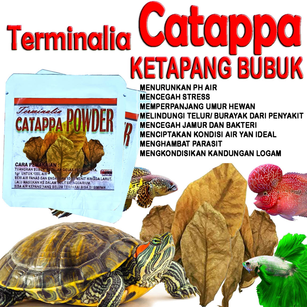 EKSTRAK DAUN KETAPANG BUBUK OBAT IKAN HIAS GUPPY BETTA FISH CUPANG KURAKURA BRAZIL RES CST AMBON DAM