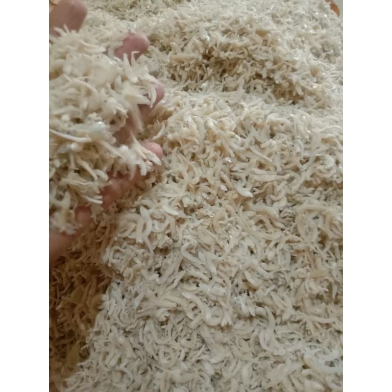 

Teri nasi toge 1kg