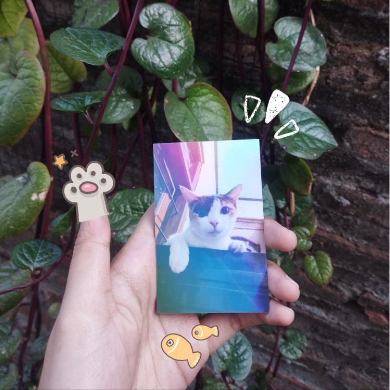 Photocard Hologram 2 Sisi Custom Request Dua Sisi Depan Belakang