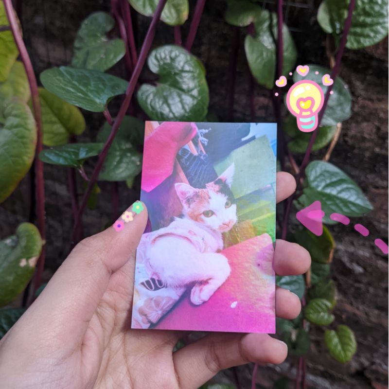 Photocard Hologram 2 Sisi Custom Request Dua Sisi Depan Belakang