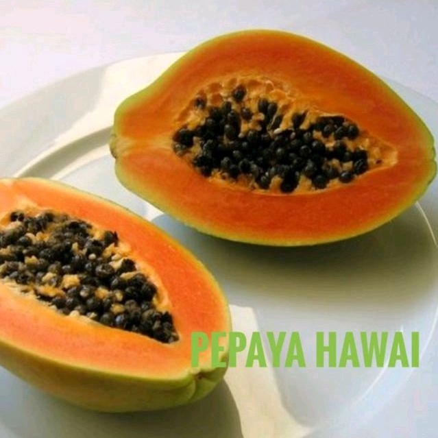 

QUEEN BUAH - BUAH PEPAYA HAWAI MANIS HARUM 1KG