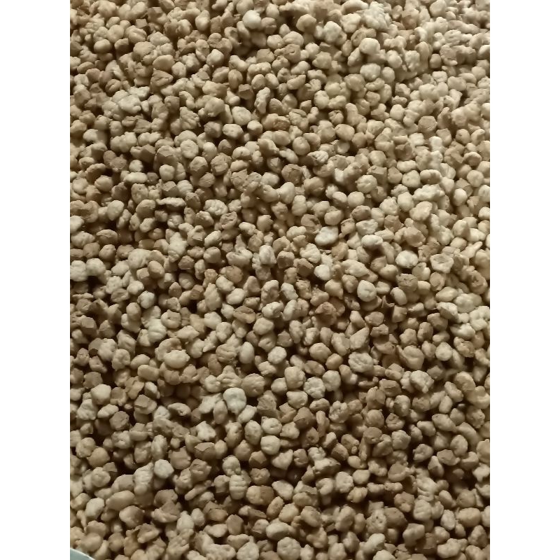 

ADY78 batagor kering isi 150 pcs