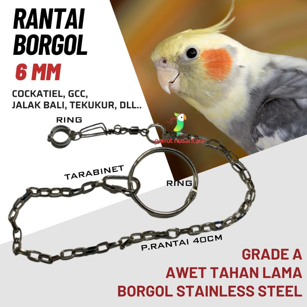 1 set rantai dan borgol burung falk cockatiel parkit australia