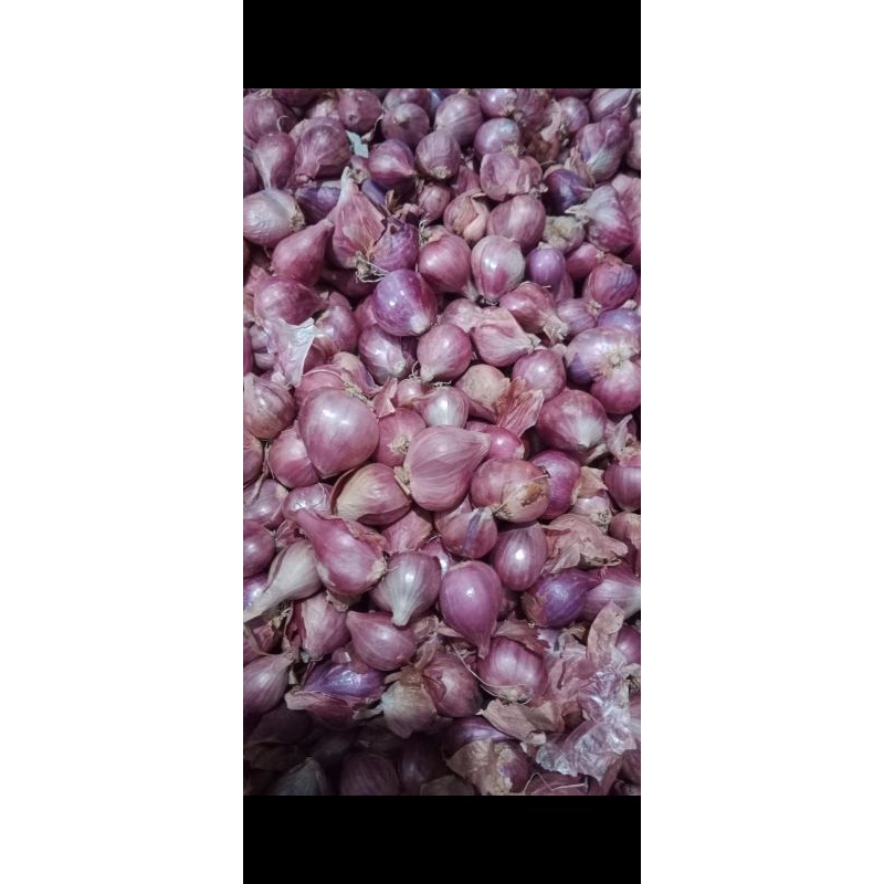 

bawang merah sekilo