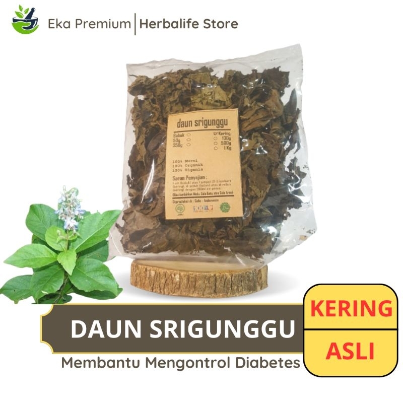 

DAUN SRIGUNGGU KERING Senggugu Asli Ramuan Rempah Herbal Murni Jamu Minuman Tradisional Simplisia Clerodendron Serratum